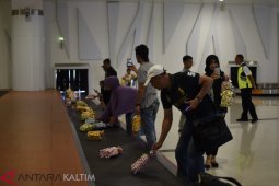 Penumpang Pertama Tiba Di 2019 Dapat Kejutan
