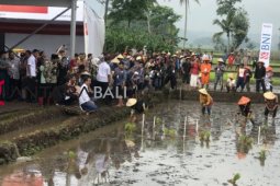 Presiden ajak ngobrol petani Garut di pinggir sawah