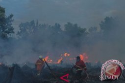 Kebakaran lahan di Riau terus meluas