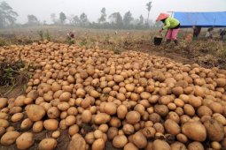 Anak Petani Magelang Ikuti GSEA 2019 Di Makau