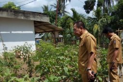Dinas Pangan Provinsi Gorontalo salurkan bantuan benih cabai melalui KRPL