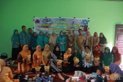 Ketua Tim Penggerak PKK Kotabaru