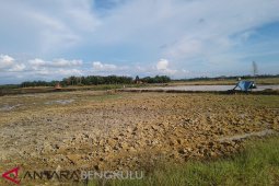 Mukomuko dapat jatah cetak sawah baru 500 hektare