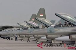 TNI AU bentuk dua skuadron tempur di Papua