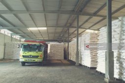 Tahun 2019, Alokasi Pupuk Urea dan NPK Bersubsidi di Jember Turun