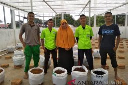 Polbangtan Medan uji coba budidaya melon hidroponik sistem irigrasi tetes