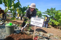 Provincial govt save a rare tree through Miniature of Tropical Forests