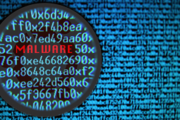 Email-Website Bisa Jadi Sarang Malware