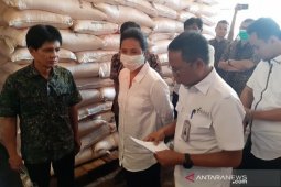 Menteri BUMN: Stok pupuk bersubsidi cukup untuk tiga bulan ke depan