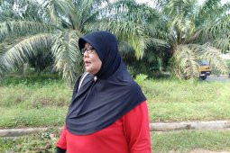 Januari, 47 kasus DBD terjadi di Tebing Tinggi