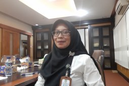 Distan Kalbar kembangkan bawang merah seluas 245 hektare