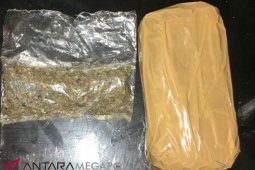 Satpam pemilik 1,5 kg ganja jalani persidangan di PN Ambon