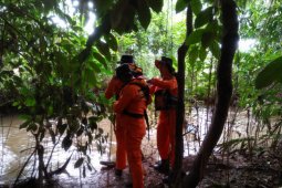 SAR cari Januri dengan dua pola