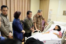 Keluarga Besar Partai Demokrat nantikan kesembuhan Ani Yudhoyono