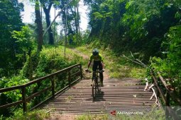 Menteri Rini Direncanakan Hadiri "Chocolate Glenmore Run" di Banyuwangi