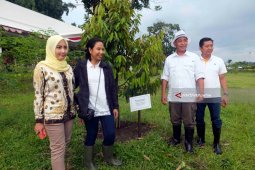 Menteri BUMN Targetkan Trans -Jawa Hingga Banyuwangi Selesai 2020-2021 (Video)