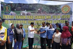 Tabalong builds a 100-ton food warehouse