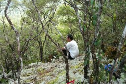 Sarogodung di Tapsel bangun ekowisata dengan dana desa