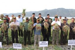 Nosar berpotensi jadi kawasan pertanian dan pariwisata