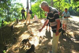 Ayo berwisata ke Hutan Pusuk