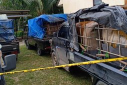 Polda Jambi bebaskan 10 pengangkut minyak hasil penambangan liar