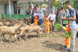 KPH Parengan Tuban Libatkan Masyarakat Beternak Rusa