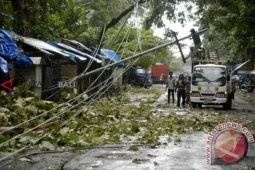 Angin kencang landa 5 kecamatan di Jember