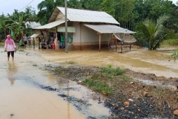Desa Simpang Pematang Mesuji Dilanda Banjir