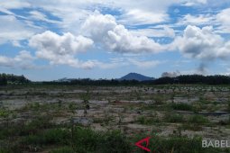 Pemkab Bangka kesulitan lahan bekas tambang kembangkan pertanian