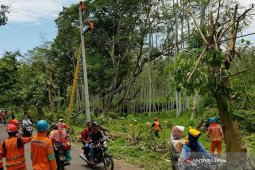 PLN Jember Pulihkan 100 Persen Jaringan Listrik Pascabencana Angin Kencang