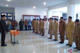Wakil Bupati Madina lantik 110 pejabat eselon