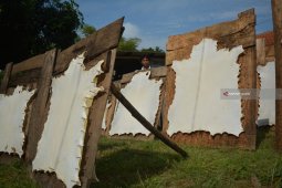 Industri Kulit Kambing