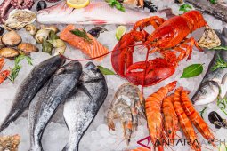 Makan seafood saat hamil dapat tingkatkan IQ anak