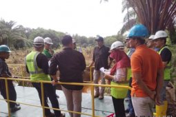 Laskar Hijau tanam 1.000 pohon pelawan di waduk Unmet Muntok