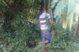 Polisi selidiki temuan mayat tergantung di pohon