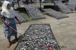 Produksi ikan olahan meningkat
