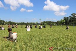 HSS safe crops with mass movements of pest control