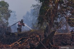 Dua helikopter berjibaku padamkan Karhutla di Rokan Hilir
