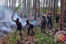 Ribuan warga sakit akibat terpapar asap karhutla