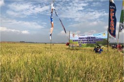 Stok Pupuk Subsidi Cukup