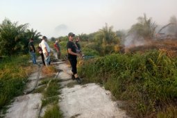 Lahan milik PT DAL di Muara Batanggadis Madina terbakar
