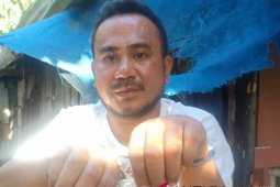 Polisi periksa tiga tersangka pemilik ganja