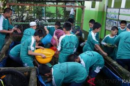 Students massive action in fighting dengue in HSS