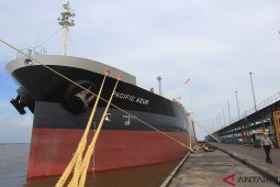 CPO price in Jambi records rise of Rp133 per kilogram