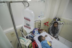 Dua meninggal karena DBD di Singkawang