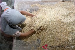 Pengusaha tempe keluhkan harga kedelai