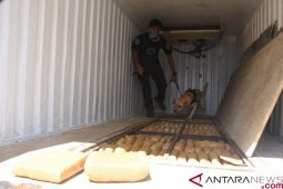 BNN amankan 1,4 ton ganja dan lima tersangka