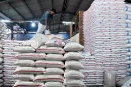 Pemkab Lebak Jamin Stok Pangan Cukup
