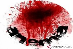 Waspadai anemia selama kehamilan
