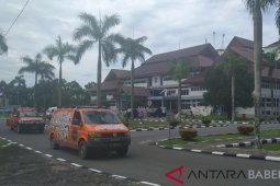 Babel Peduli tanam pohon di Pantai Lampung